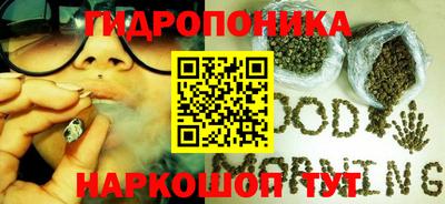 гашик Ачхой-Мартан